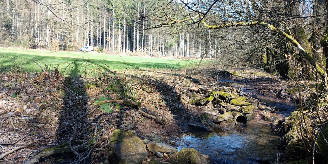 Mannbach in der Nähe von Haag