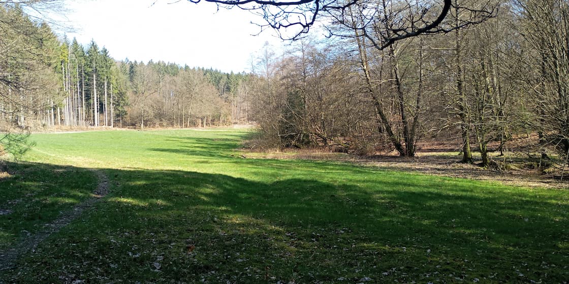 Wiesenfläche am Mannbach in der Nähe von Haag